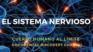 El Sistema Nervioso  Discovery Channel  Cuerpo Humano al Límite Completo [upl. by Black757]