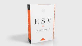 The ESV Study Bible A Look Inside [upl. by Ettenot621]