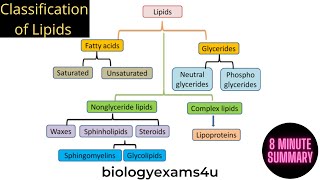 Lipids and their Classification Lipids Biochemistry Part 1 [upl. by Armin]