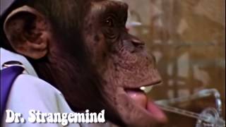 Lancelot Link Secret Chimp May 29th Video from Original ABC Masters [upl. by Naujad]