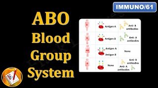 ABO Blood Group System FLImmuno61 [upl. by Mauretta]