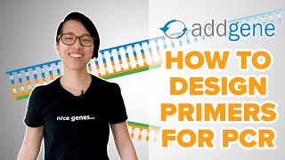 How to Design Primers for PCR [upl. by Aneert]