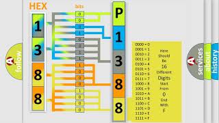 DTC Volkswagen P1388 Short Explanation [upl. by Anohsal873]