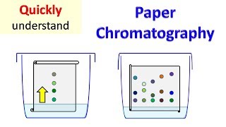 Paper Chromatography [upl. by Aguie947]