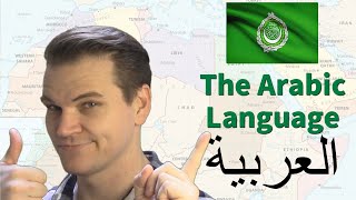 The ARABIC Language Its Amazing History and Features [upl. by Nesiaj779]