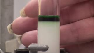 Column chromatography [upl. by Nawj]