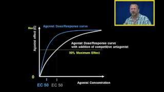 Agonist DR Curves with Competitive and Noncompetitive Antagonist [upl. by Ylak]