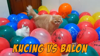 Kucing VS Balon [upl. by Yrocej]