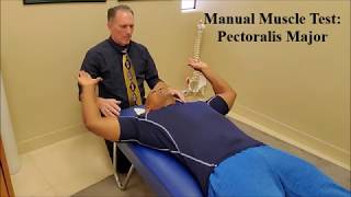 Manual Muscle Testing MMT Pectoralis Major Pec Major [upl. by Whittaker348]