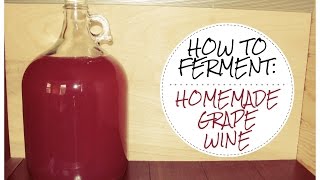 How to make WILD FERMENTED Homemade Grape Wine [upl. by Elletsirk]