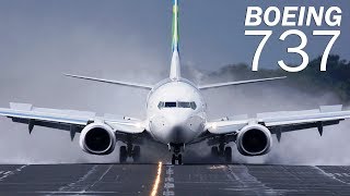 Boeing 737  the most popular airliner [upl. by Bixler]