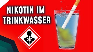 Umweltgift Zigarettenstummel  Nikotin im Trinkwasser  Breaking Lab [upl. by Barvick455]