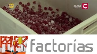 Cómo se hacen las gomitas Tutti Frutti  Factorías [upl. by Anailil]