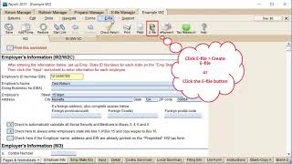 W21099 Payroll Compliance eFiling W2 Returns [upl. by Deron880]