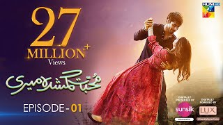 Muhabbat Gumshuda Meri  Episode 01 𝐂𝐂   Khushhal Khan amp Dananeer   28th April 2023  HUM TV [upl. by Vullo253]