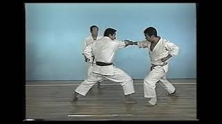 Bassai Dai Kata amp Bunkai [upl. by Anaicul]