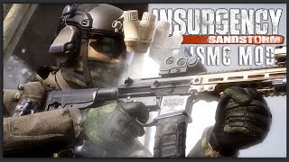 THE BEST MG  Insurgency Sandstorm Gameplay Bad Loadouts  MG3 [upl. by Ordnassela]