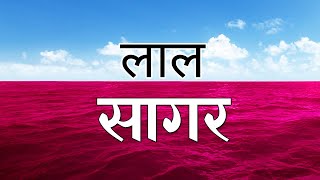 लाल सागर के रहस्य और जानकारी Lal Sagar Ki Jankari  Red Sea Documentary in Hindi [upl. by Juanita15]