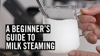 Everything You Need To Know To Steam Great Milk [upl. by Merri450]