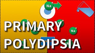 Primary Polydipsia Hyponatraemia [upl. by Shaun]