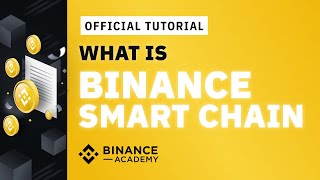 What is Binance Smart Chain BSC and How to Use It  Binance Official Guide [upl. by Llennyl881]