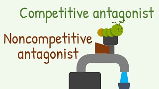 Competitive Antagonist vs Noncompetitive Antagonist [upl. by Vaclav]