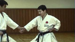 KATA  BUNKAI HEIAN SHODAN [upl. by Ateuqahs]