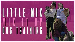 Little Mix  Mix It Up Dog Training [upl. by Quinta536]