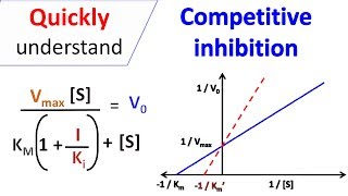 Competitive inhibition [upl. by Aivart901]