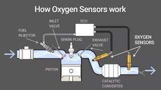 How O2 Oxygen Sensors Work Animation [upl. by Kihtrak]