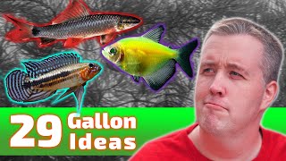 The BEST Ideas for Your 29 Gallon Fish Tank [upl. by Narud]