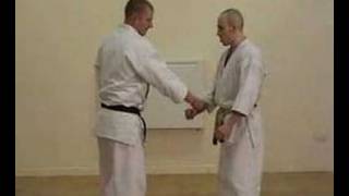 Bunkai to Shotokan Kata Empi [upl. by Chee]