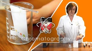 Chromatography  GCSE Science Required Practical [upl. by Edahsalof541]