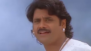 Shiva Movie  Botany Patamundi Video Song  Nagarjuna Amala [upl. by Eicaj340]