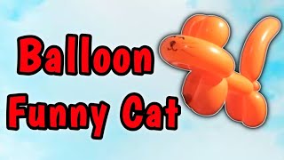 One BalloN CaT [upl. by Hebner]