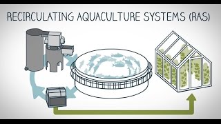 What is landbased fish farming [upl. by Nivrag]