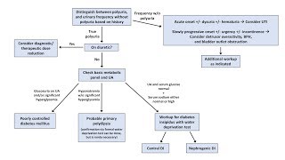 An Approach to Polyuria [upl. by Mcdougall]