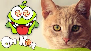 Om Nom Stories  Om Nom and Cat  Cut the Rope [upl. by Ches]