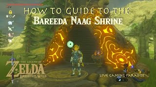 Breath of the Wild  Bareeda Naag Shrine Guide and Location [upl. by Lisette]