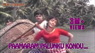 Paamaram Palunku Kondu HD  Thriveni Malayalam Movie Song  Prem Nazeer  Saradha  Sathyan [upl. by Aenat81]