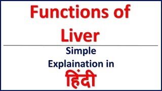 Anatomy of Liver simple explaination in Hindi  Bhushan Science [upl. by Rutherford]