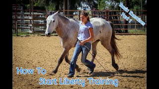 How To Start Liberty Training With Your Horse Basic Exercises Part 1 [upl. by Nicolai]