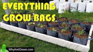 Grow Bags 101  Welcome to my Grow Bag Urban Homestead [upl. by Siladnerb556]