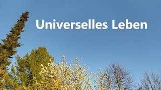 CSG 007 Universelles Leben [upl. by Ardnasak854]