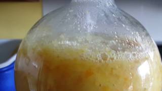 Chemistry extracting limonene oil part 1 [upl. by Zamir]