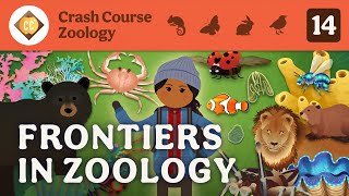 Frontiers in Zoology Crash Course Zoology 14 [upl. by Ecirehc265]