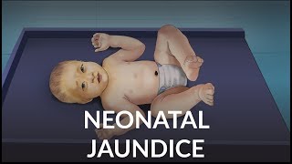 Neonatal Jaundice by L Veit  OPENPediatrics [upl. by Norda]