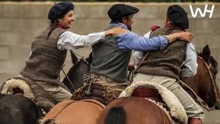 Caballo Criollo Horses in Argentina [upl. by Nilac226]