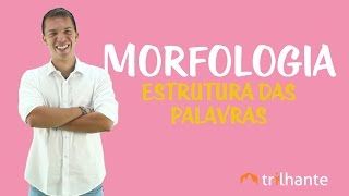 Morfologia Estrutura das Palavras [upl. by Dorsy]