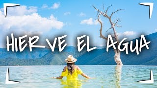 HIERVE el AGUA ► ÁRBOL del TULE 🔴 6 destinos 1 ruta 🚗 MEZCAL GRECAS y hasta CALDO DE PIEDRA [upl. by Enra309]